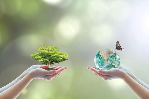 2- Vision of a Happy World
