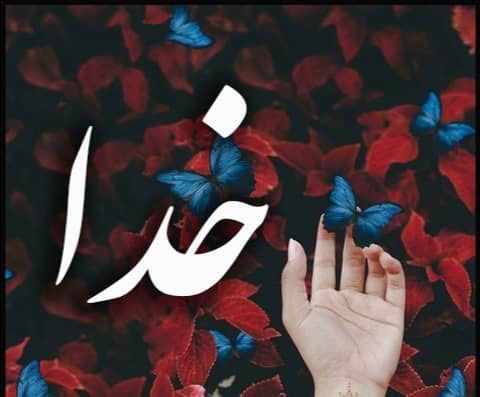 ملاقات با رييس دانشگاه زندگي